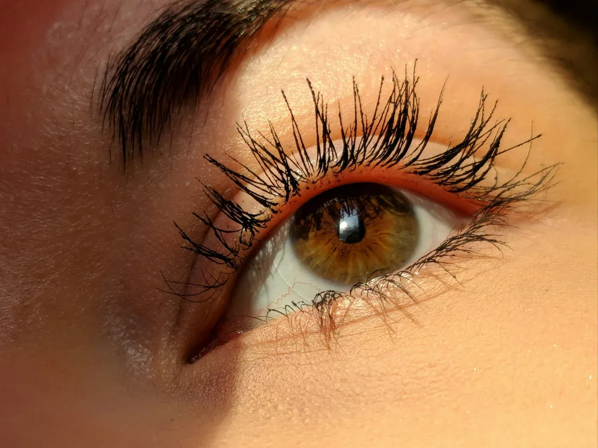 Gros plan sur des cils et sourcils teintés pour un regard naturel